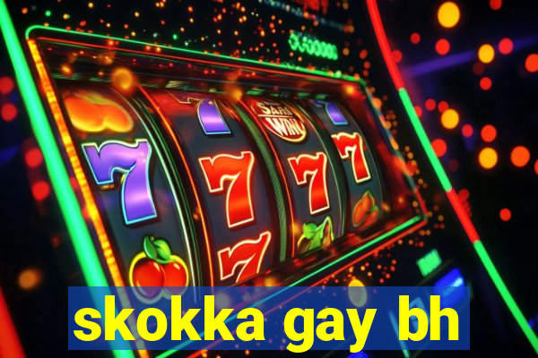 skokka gay bh